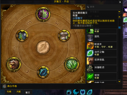 魔獸世界玩家三年奶德經驗：新手向總結分享