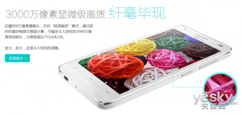 初夏滿林香 郊游不可忘 超清拍攝手機推薦