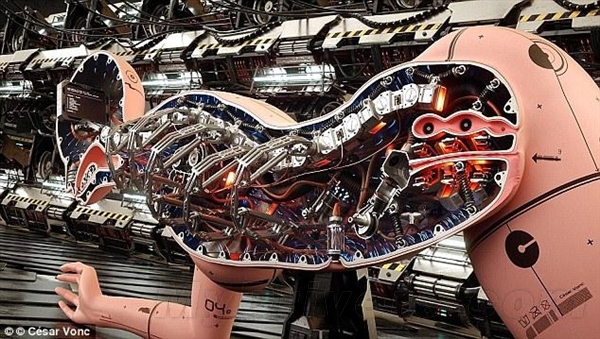 專家：人與機器人性愛將成常態