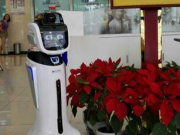 不能用谷歌翻譯的痛，就用這些翻譯神器來彌補吧