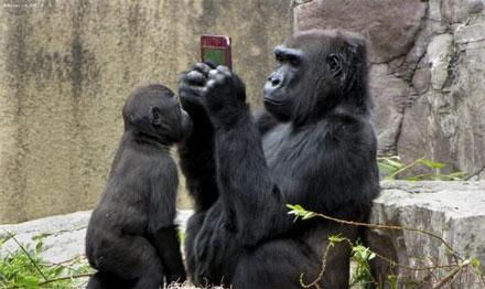 微信運(yùn)營(yíng) 微信加粉 微信營(yíng)銷