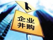 此時鼓勵兼并重組，不過是又一次救市努力