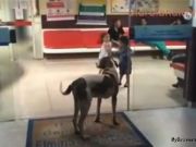 杠桿無處不在，A股又臨一坑：分級(jí)基金下折