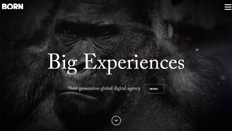 獨辟蹊徑!20個精巧走心的單頁滾動網頁設計案例