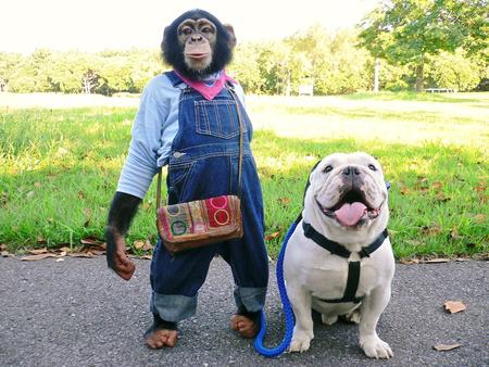 如何讓開發(fā)人員按照UI標(biāo)注還原設(shè)計(jì)？