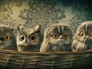 資本寒冬背后的深層邏輯：是誰在喊狼來了？