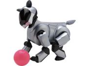 日本頂級(jí)專(zhuān)家：災(zāi)害救援機(jī)器人是我們的重要領(lǐng)域|2015世界機(jī)器人大會(huì)