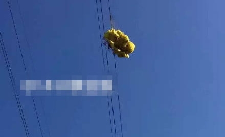 男子玩滑翔傘遇險:掛在11萬伏高壓線上