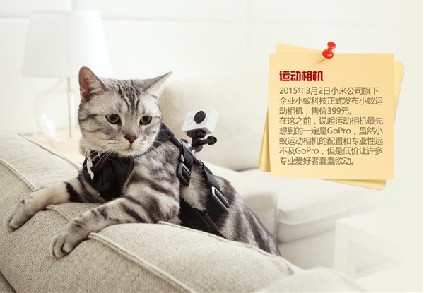 小米 一家偽裝成手機廠商的百貨公司