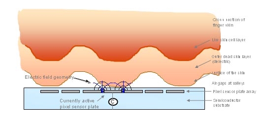 為什么指紋識別應該成為手機的標配？