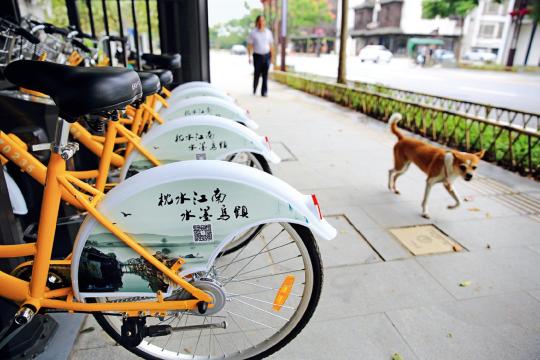 烏鎮 見聞 大會 互聯網 世界