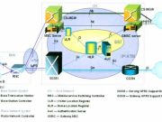 廣州驚現(xiàn)菊花葫蘆娃：造型雷人網(wǎng)友看瞎