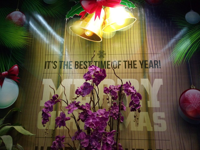 0.6秒+0.1秒高速成像 vivo X6拍照體驗 