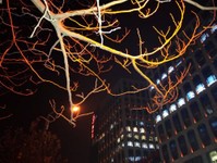 樣張秀：中興小鮮3感受北國冬夜風光