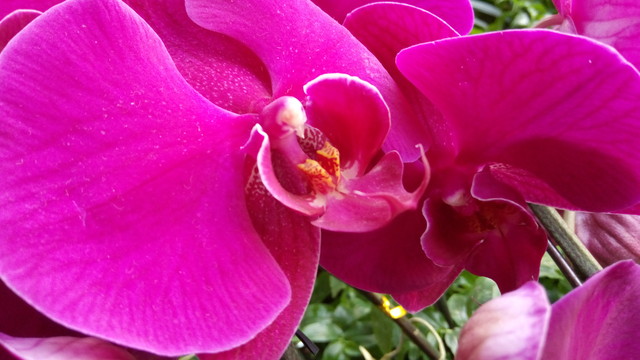 聯發科八核支持指紋 有糖手機U7評測