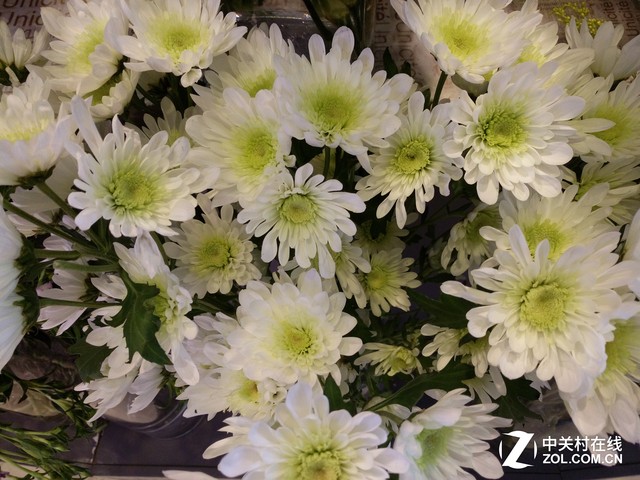 vivo X6 Plus評測 :極速和HiFi的新革命 