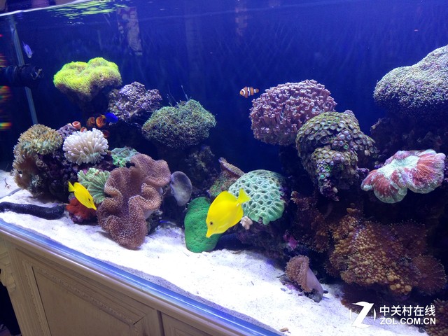 vivo X6 Plus評測 :極速和HiFi的新革命 