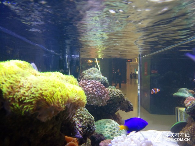 vivo X6 Plus評測 :極速和HiFi的新革命 