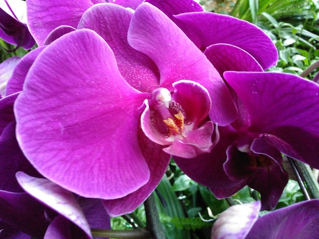 指紋識別800萬像素拍照 TCL樂玩2C評測 