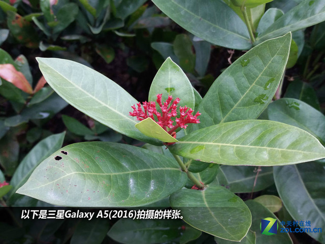 雙2.5D+全網(wǎng)通4G 三星A5(2016)購機(jī)手冊(cè)