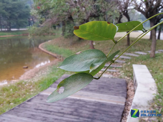 雙2.5D+全網(wǎng)通4G 三星A5(2016)購機(jī)手冊(cè)