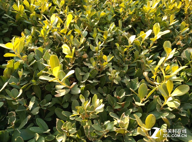 性價比之爭 斐訊輕客2S對比小米note 