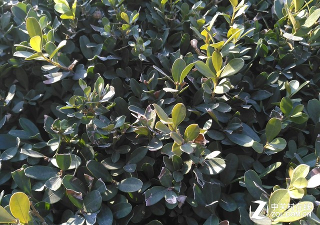 性價比之爭 斐訊輕客2S對比小米note 