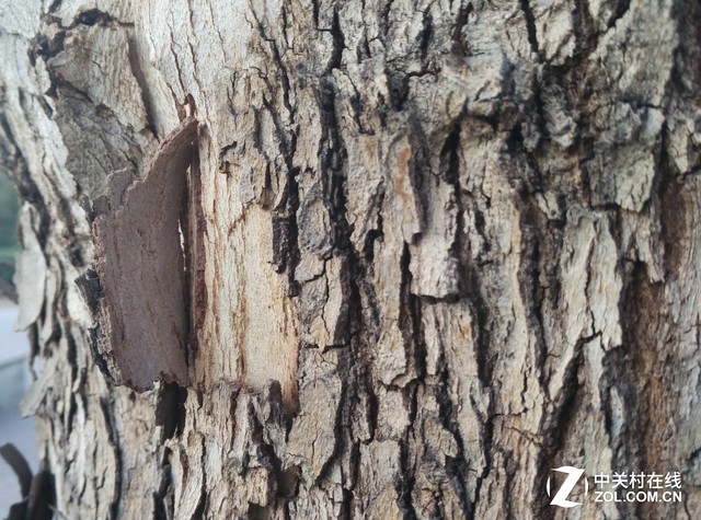 性價比之爭 斐訊輕客2S對比小米note 