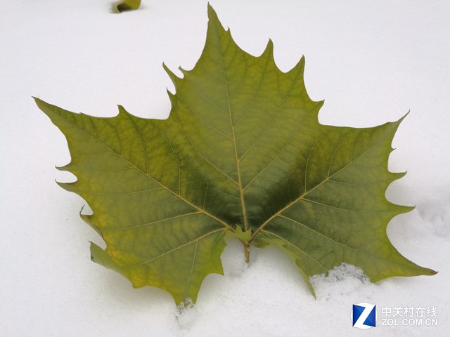 相位對(duì)焦/PDAF終聚首 索尼IMX298解析 