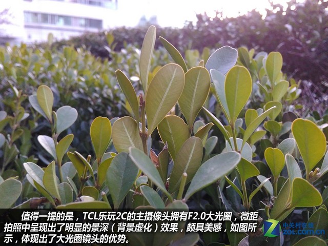 百元指紋手機好選擇 TCL樂玩2C購機手冊