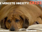 Meta標簽與搜索引擎優(yōu)化