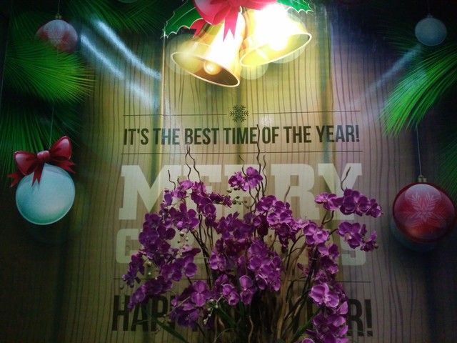 "美"之第2代 雙面玻璃nubia布拉格S評測 