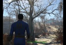 輻射4秘籍 如何防止NPC偷拿玩家武器