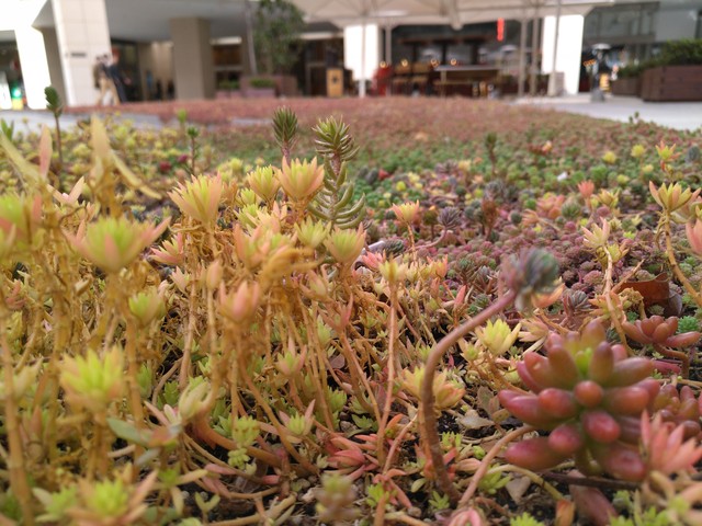 樂(lè)MaxPro上手速評(píng) 