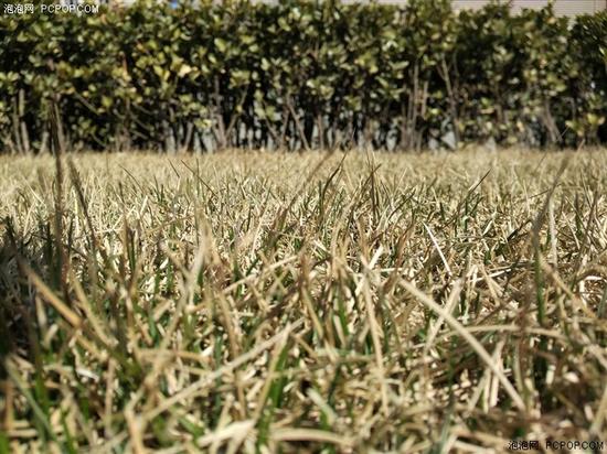 經(jīng)典升級(jí)的小米4S評(píng)測(cè) 顏值握感出色結(jié)合 