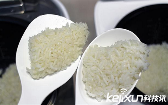 小米PK格力電飯煲 誰將出戰碾壓日貨?  