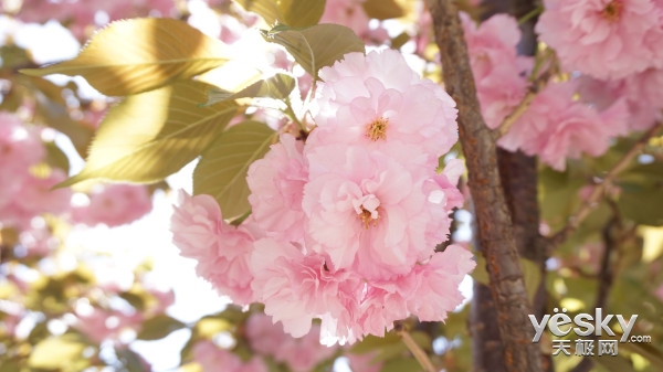 Alienware杯駕臨北交大,LOL神們速來報(bào)道!