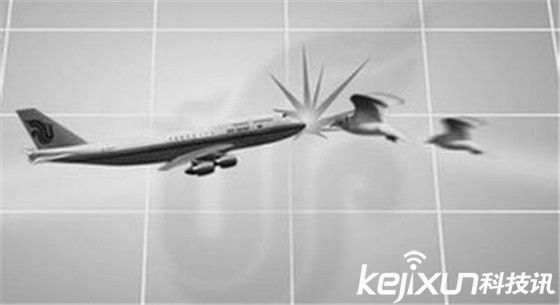 無人機多功能卻慘遭禁止？誤撞飛機留后患