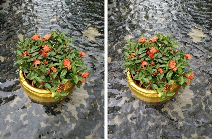 內(nèi)戰(zhàn)！ vivo Xplay5頂配版 VS 標準版拍照評測