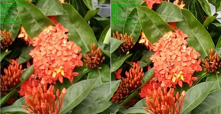 內(nèi)戰(zhàn)！ vivo Xplay5頂配版 VS 標準版拍照評測