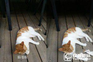 一代力作vivo Xplay5標準版&旗艦版對比評測