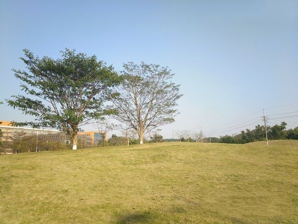 vivo Xplay5和OPPO R9系統與拍照對比