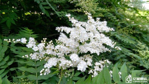 1799元！聯想5寸旗艦ZUK Z2評測：驍龍820加持