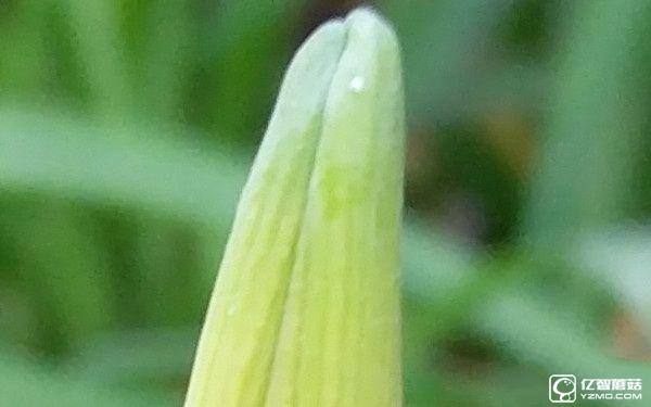 1799元！聯想5寸旗艦ZUK Z2評測：驍龍820加持