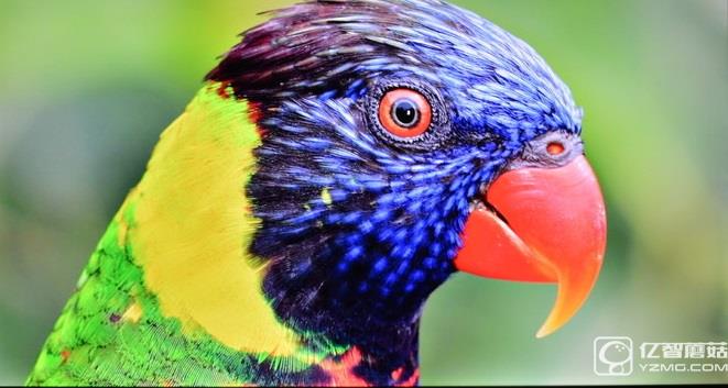 畫質(zhì)如何?實(shí)測(cè)解析