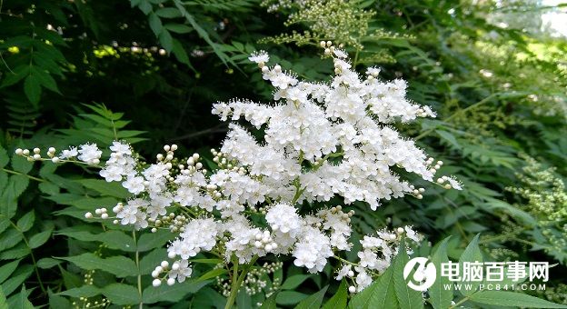 ZUK Z2拍照樣張圖賞