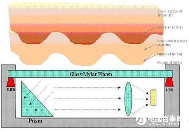 為啥濕手不能解鎖？解析手機指紋識別原理