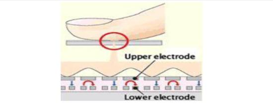 為啥濕手不能解鎖？解析手機指紋識別原理