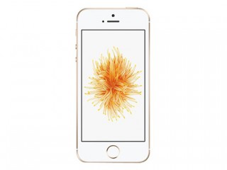 iPhoneSE怎么屏蔽短信？蘋果iPhoneSE屏蔽短信方法