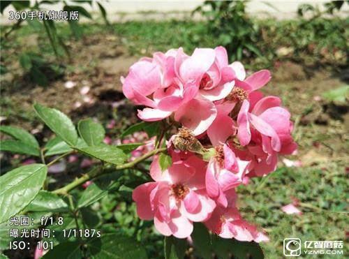 華為榮耀V8,華為P9Plus,360手機旗艦版